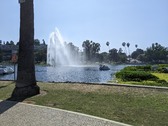 Enlarge photo 42