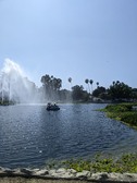 Enlarge photo 43