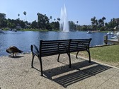 Enlarge photo 49