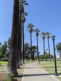 Enlarge photo 51