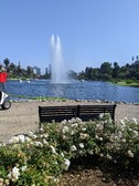 Enlarge photo 54