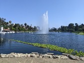 Enlarge photo 55