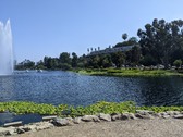Enlarge photo 56