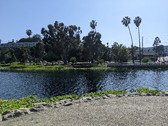 Enlarge photo 57