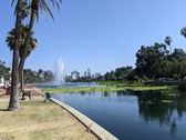 Enlarge photo 59