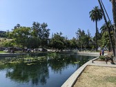 Enlarge photo 62
