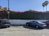 Enlarge photo 79