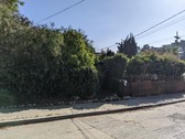 Enlarge photo 92