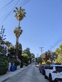 Enlarge photo 105