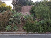 Enlarge photo 106