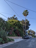 Enlarge photo 108