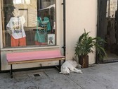 Enlarge photo 57