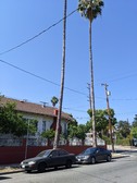 Enlarge photo 88