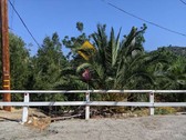 Enlarge photo 123