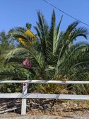 Enlarge photo 124