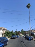 Enlarge photo 129