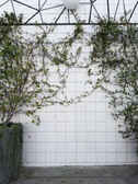Enlarge photo 135