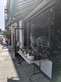 Enlarge photo 21