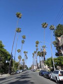 Enlarge photo 59