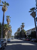 Enlarge photo 67