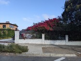 Enlarge photo 23