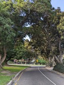 Enlarge photo 26