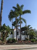 Enlarge photo 10
