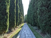 Enlarge photo 2