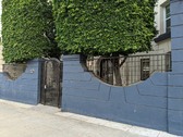 Enlarge photo 57