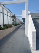 Enlarge photo 42
