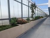 Enlarge photo 46