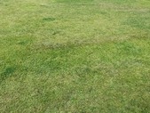 Enlarge photo 38