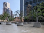 Enlarge photo 42