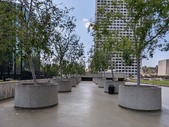 Enlarge photo 44