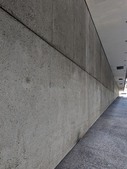 Enlarge photo 81