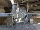 Enlarge photo 93