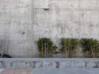 Enlarge photo 47