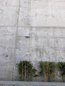 Enlarge photo 48
