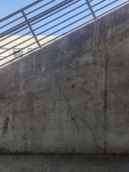 Enlarge photo 95