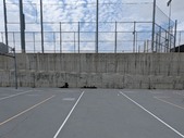 Enlarge photo 39