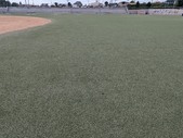 Enlarge photo 62