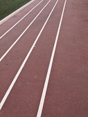 Enlarge photo 79