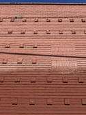 Enlarge photo 87