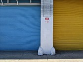 Enlarge photo 146