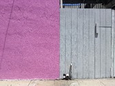 Enlarge photo 18