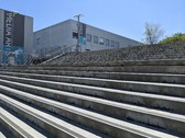 Enlarge photo 51