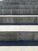 Enlarge photo 72