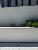Enlarge photo 43