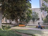 Enlarge photo 47