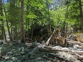 Enlarge photo 8
